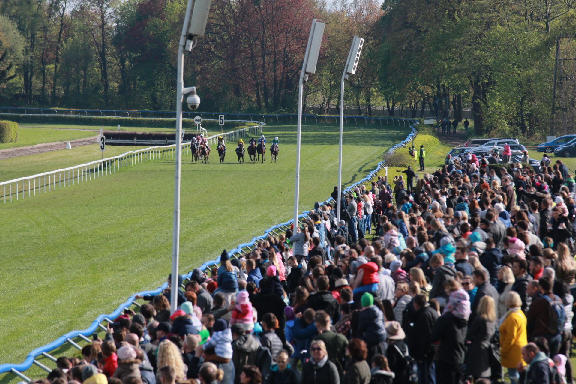 dzień dziecka na partynicach