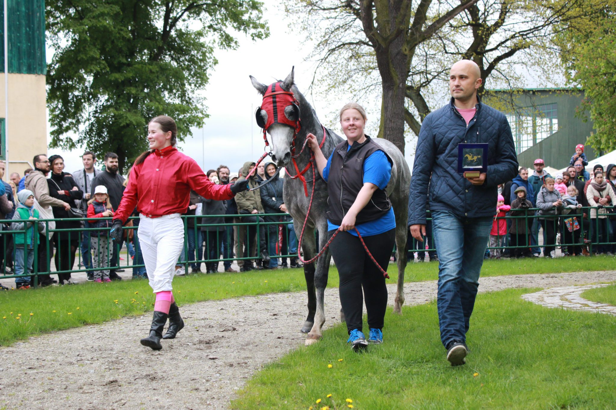 arabskie partynice wrocław